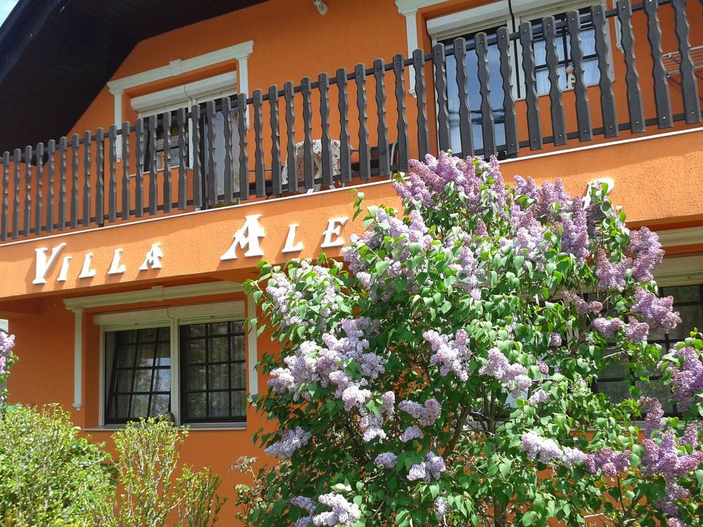 Villa Alexandr Alsópáhok Exterior foto